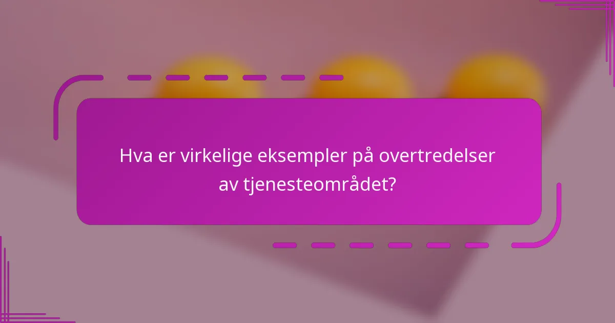 Hva er virkelige eksempler på overtredelser av tjenesteområdet?